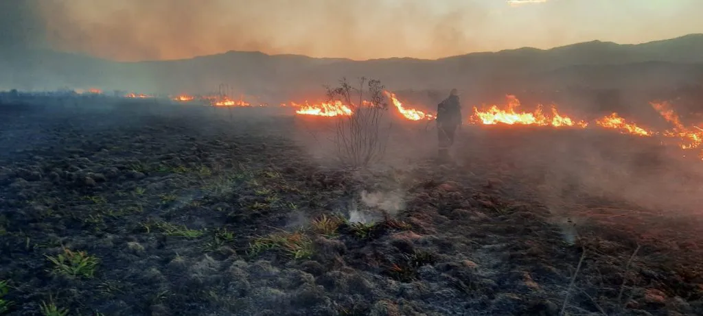 incendios2-1024x461