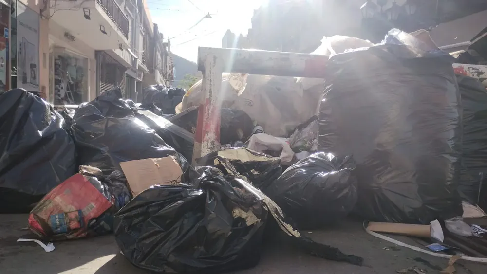 WhatsApp Image 2023-12-08 at 08.22.03