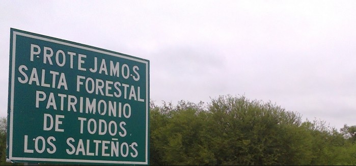 salta forestal