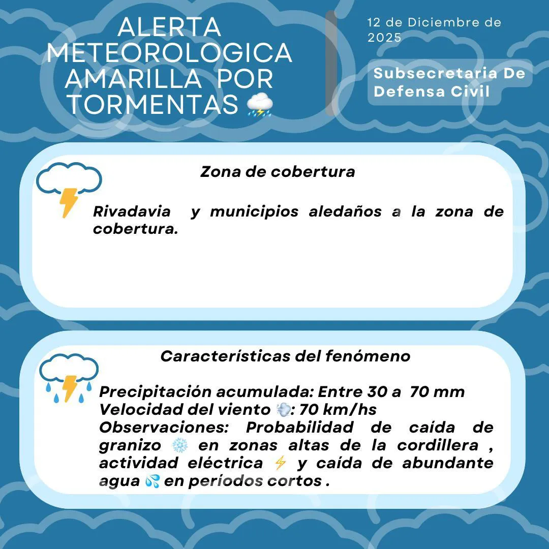 WhatsApp Image 2025-12-12 at 07.31.35