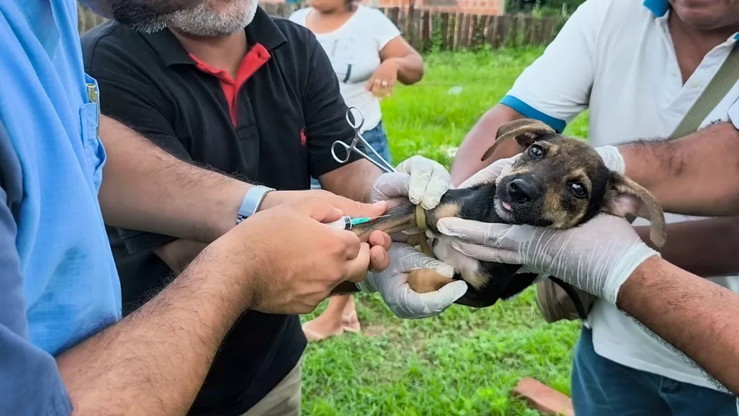 105681-cerca-de-30-perros-fueron-evaluados-en-aguaray-para-prevenir-la-leishmaniasis-visceral