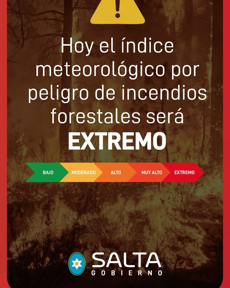 WhatsApp Image 2025-08-31 at 08.58.53