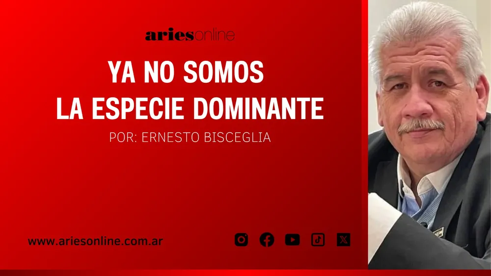 Frases políticos