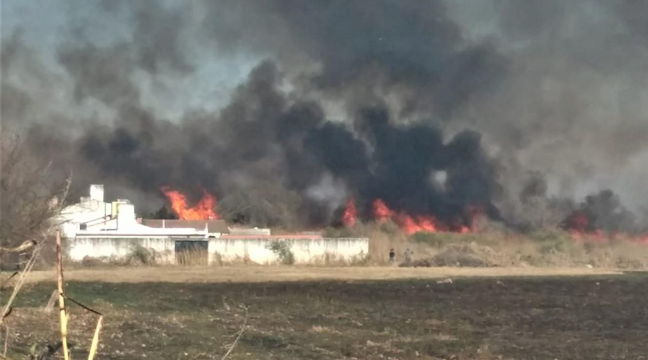 INCENDIO SAN CARLOS 1 (2)
