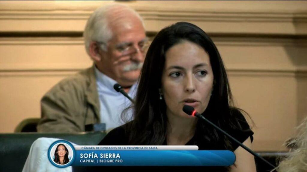 Sofía Sierra cuestionó la suspensión de las PASO