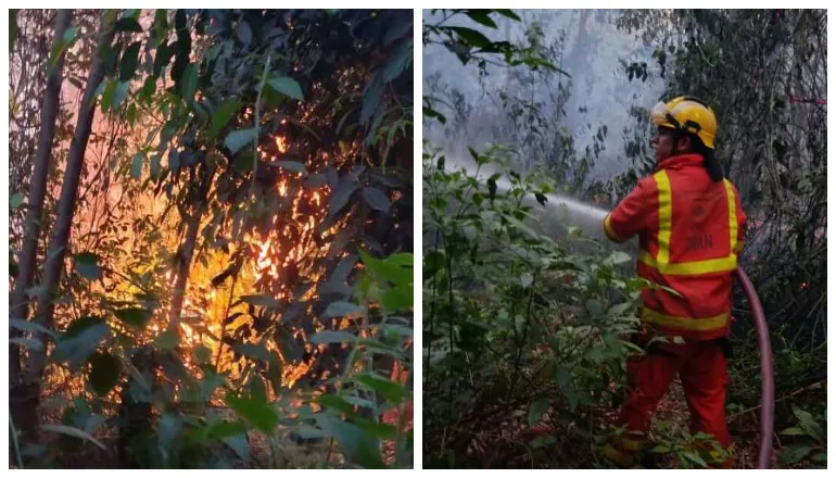 incendios en orán 2025