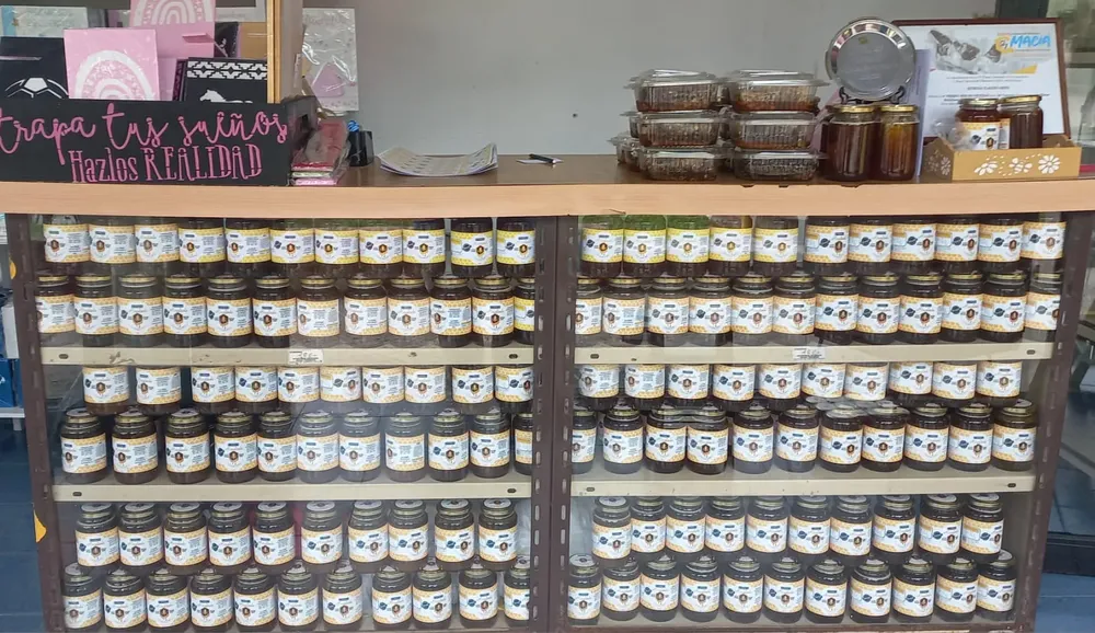 WhatsApp Image 2026-01-09 at 12.31.59