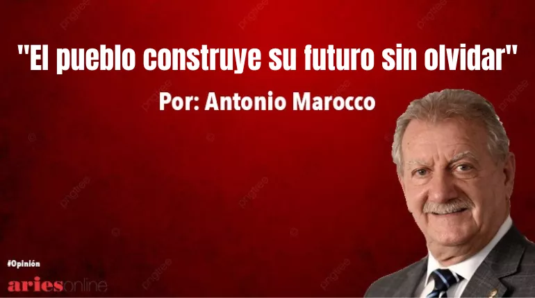 columnas (66)