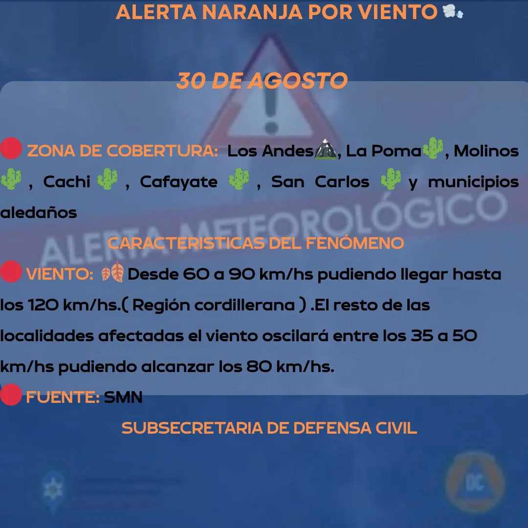 WhatsApp Image 2025-08-30 at 08.55.11