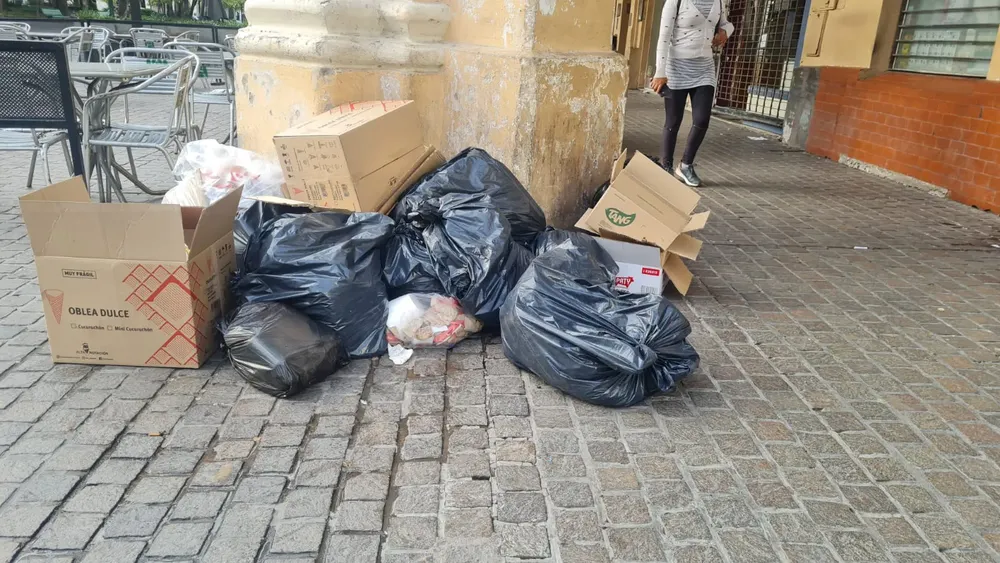 WhatsApp Image 2023-12-08 at 07.21.09