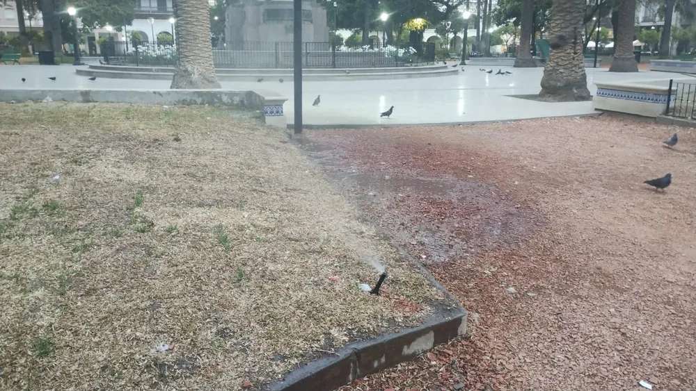 0eb4c5ed-c741-477a-8a39-46b3076f9007