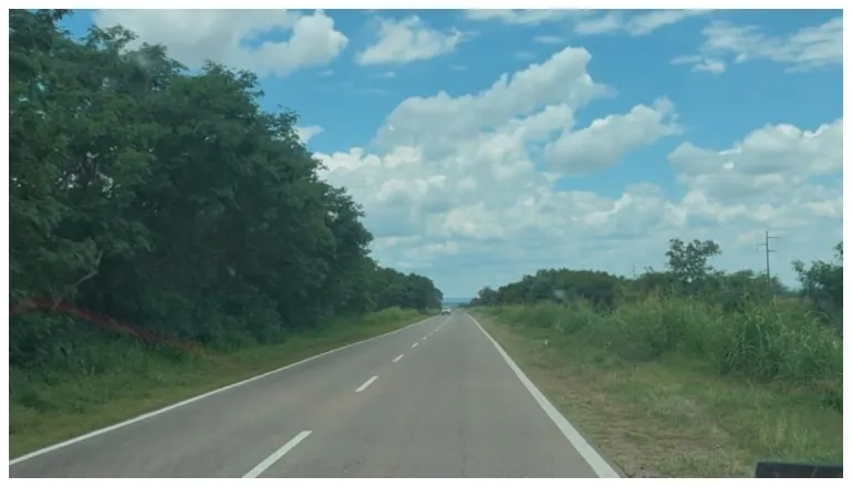 ruta nacional 81