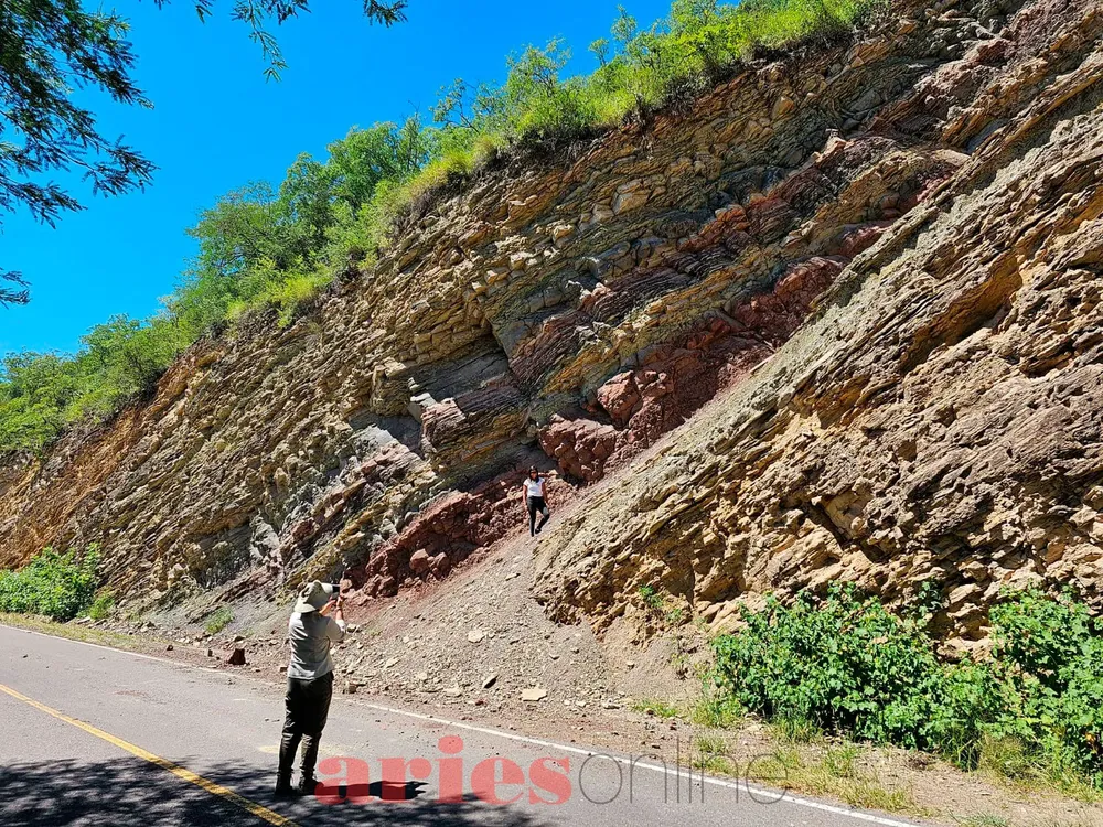 WhatsApp Image 2024-05-03 at 11.00.34