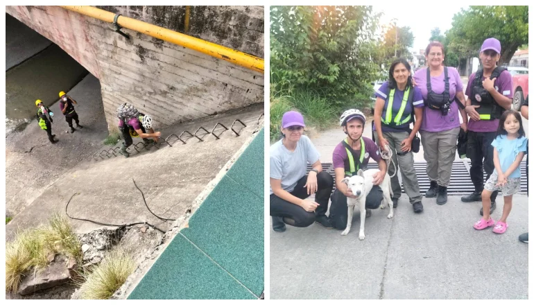 brigada comunitaia villa monica