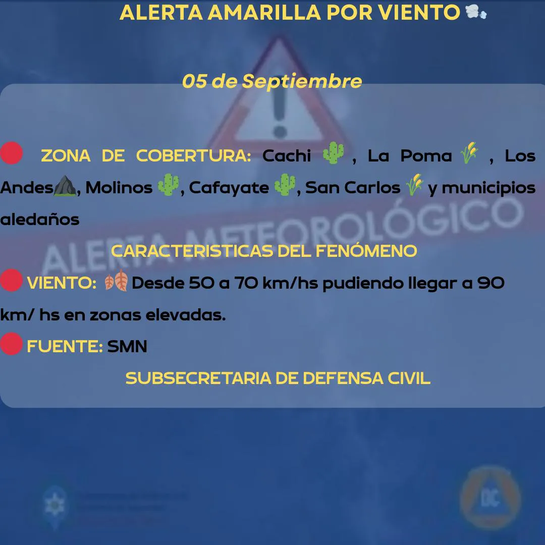 WhatsApp Image 2025-09-05 at 07.26.15