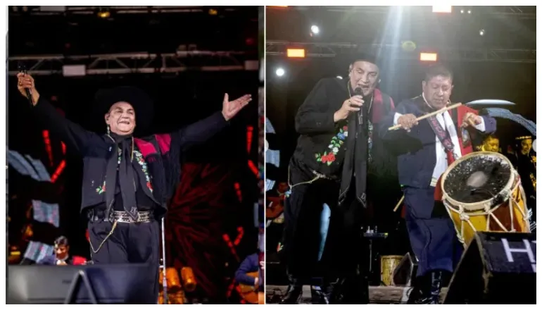 chaqueño palavecino