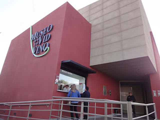 MUSEO VID Y VINO