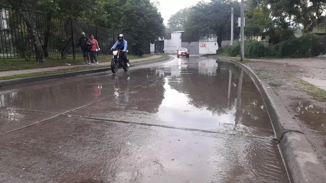 liquidos cloacales