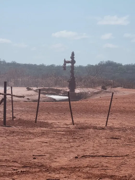 WhatsApp Image 2025-10-24 at 11.22.05