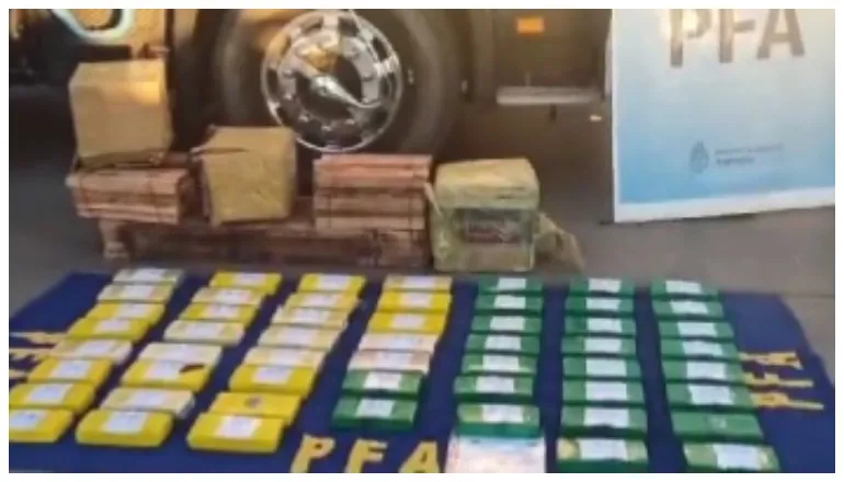 cocaína sello delfín