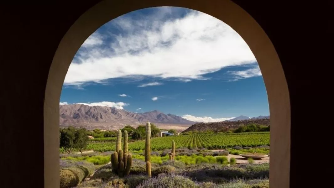 105078-el-vino-de-altura-conquista-al-mundo-colome-representa-a-salta-entre-los-grandes-destinos-enoturisticos