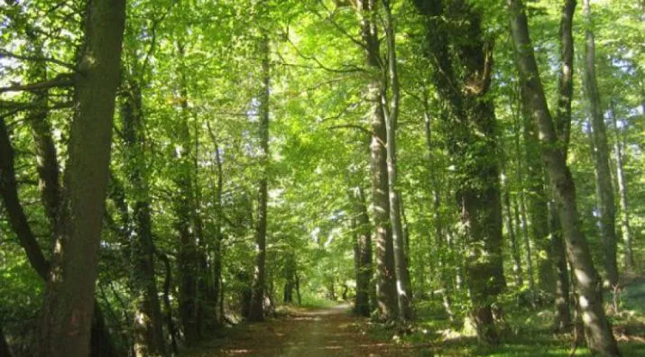 6706a2b8985f1_715_396!