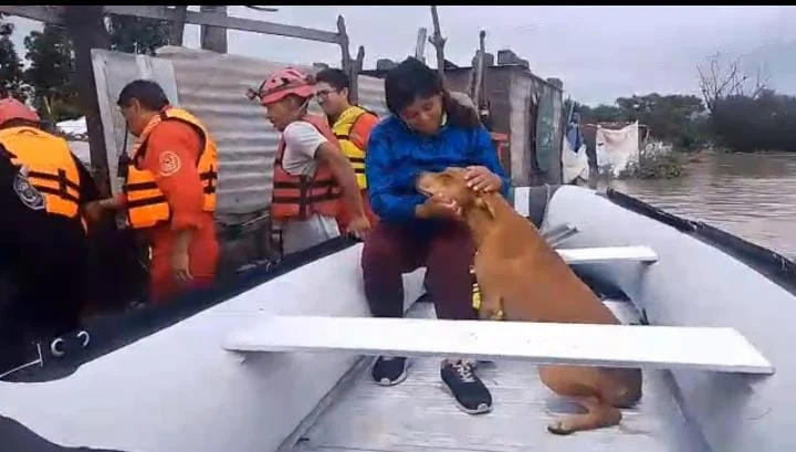 WhatsApp Image 2026-02-23 at 11.25.19