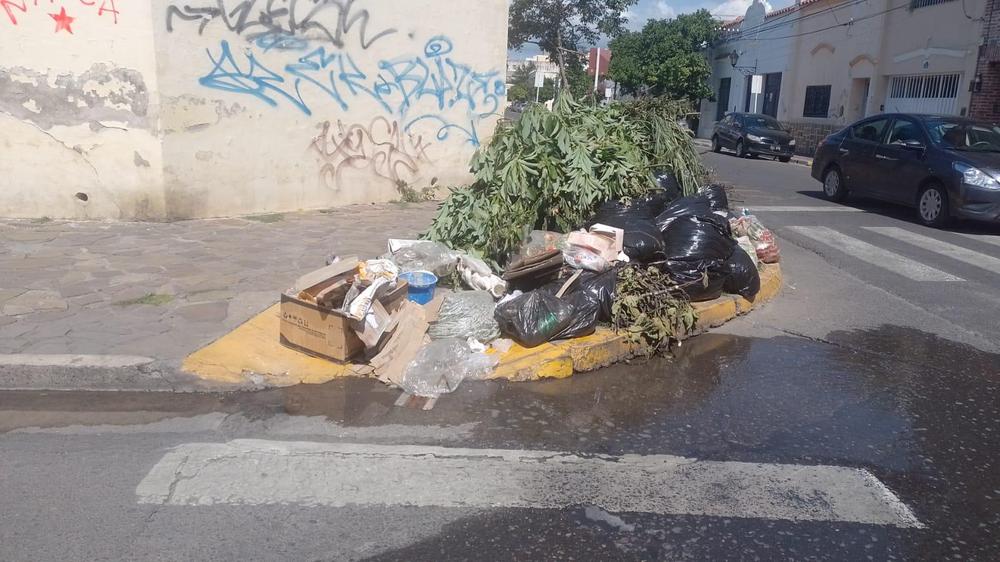 WhatsApp Image 2024-01-15 at 13.41.56