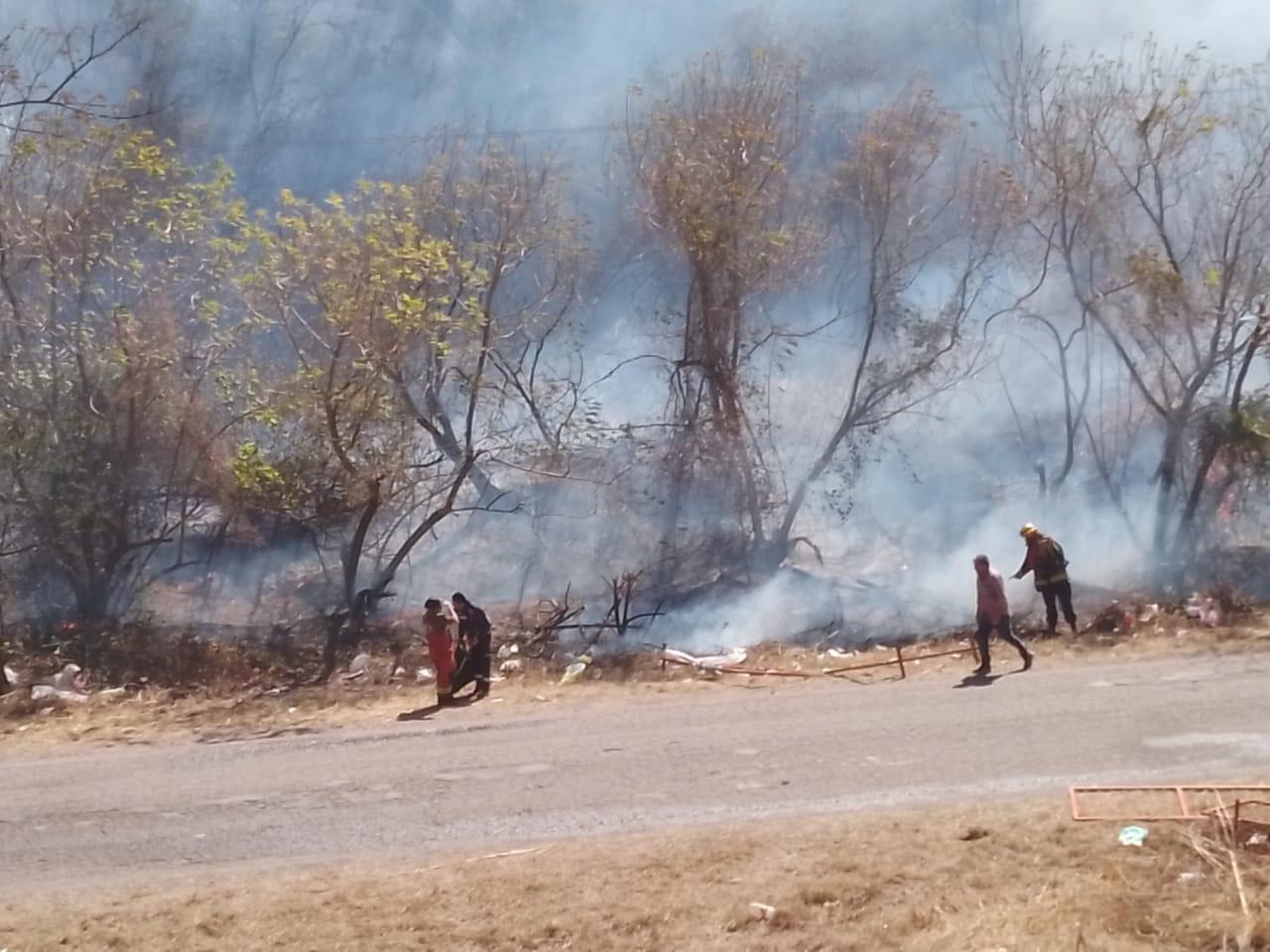 Incendio en R. de la Frontera 2