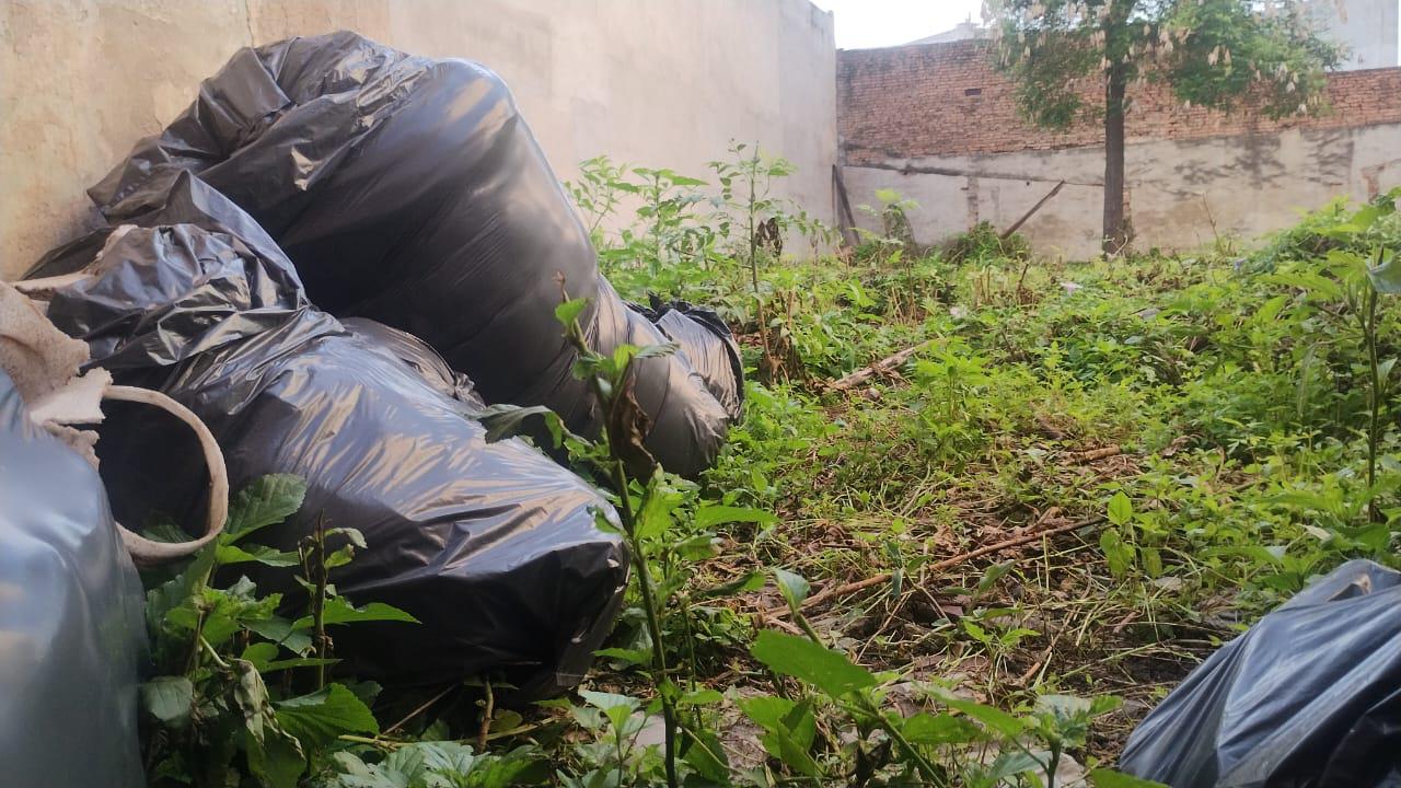 baldío alvarado al 1000