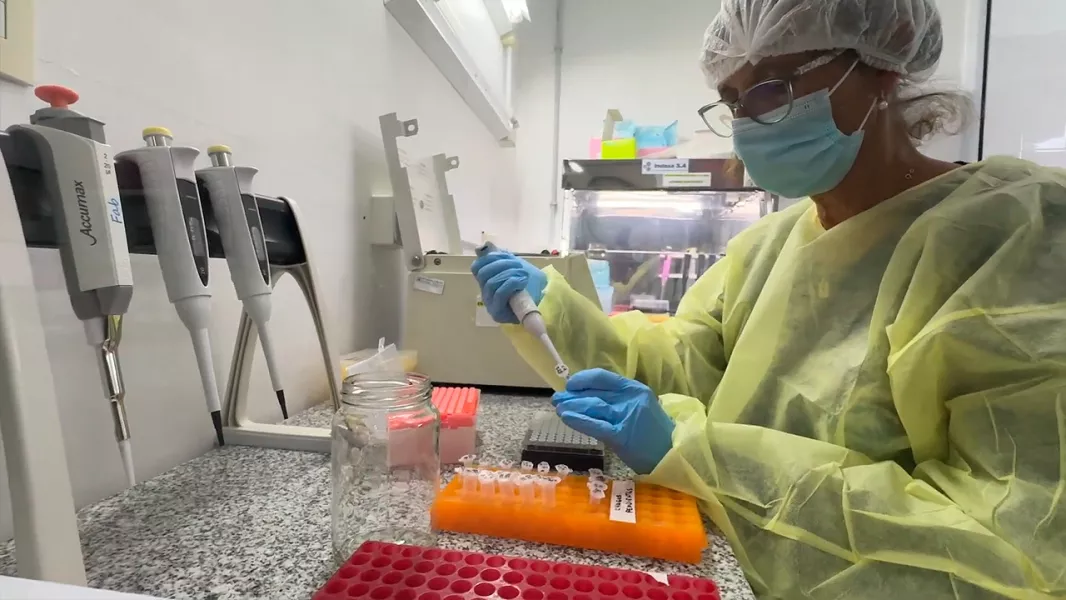 103224-en-el-hospital-materno-infantil-validaron-un-kit-para-detectar-el-chagas-en-recien-nacidos