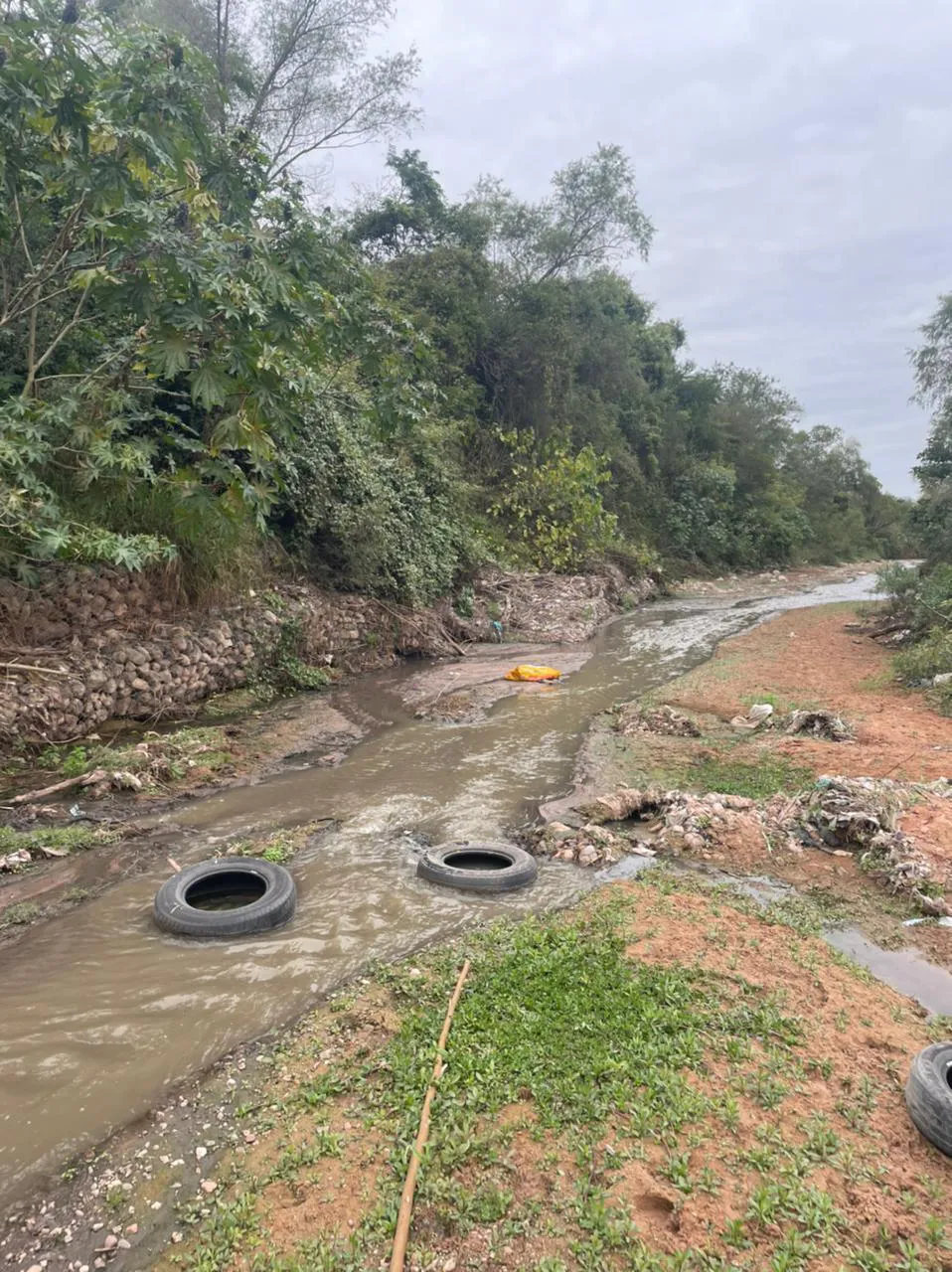 WhatsApp Image 2025-08-05 at 09.56.59