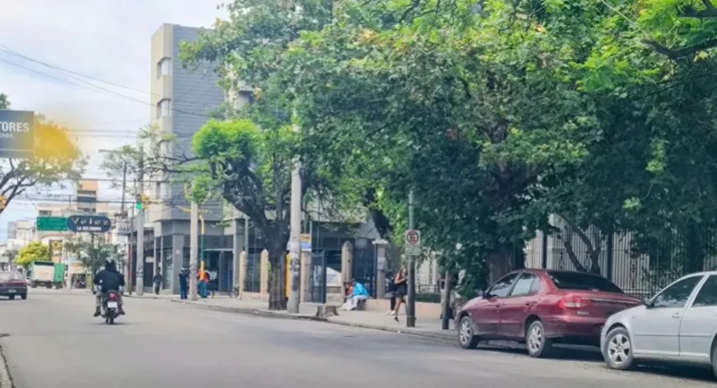 calle Pellegrini