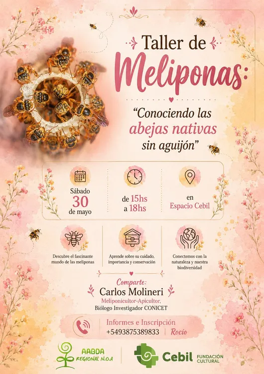 Taller Meliponas