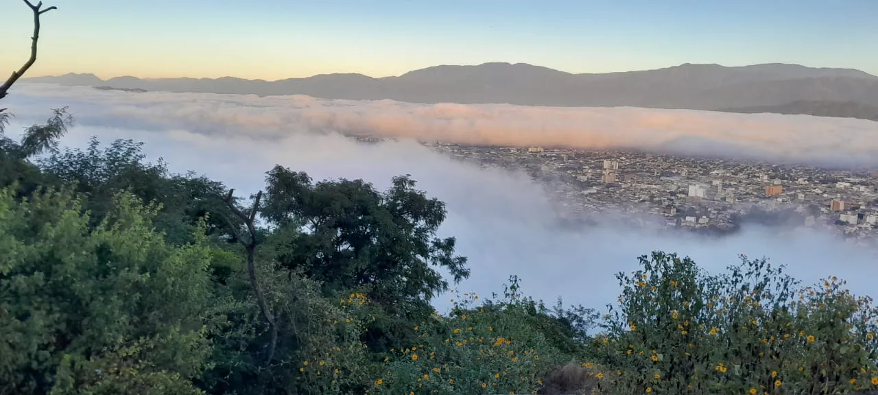 WhatsApp Image 2024-05-08 at 08.07.07 (1)