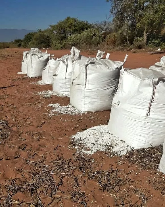 107535107_1393385627521567_2415085486658099522_n