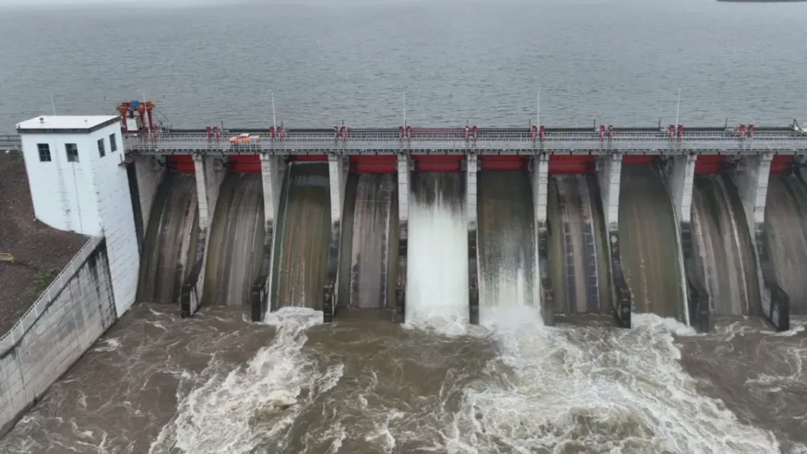 699c61192ff98_1135_639!