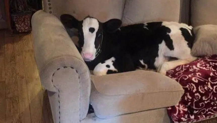 def901b5-c8ff-47a5-81fd-16df4d04144e