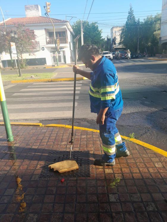 WhatsApp Image 2024-01-08 at 08.08.45