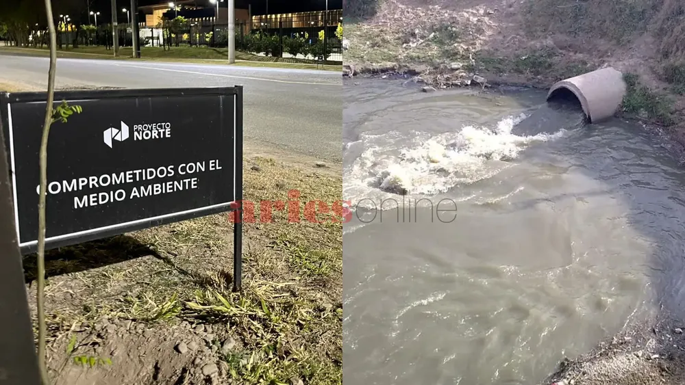 proyecto norte arenales