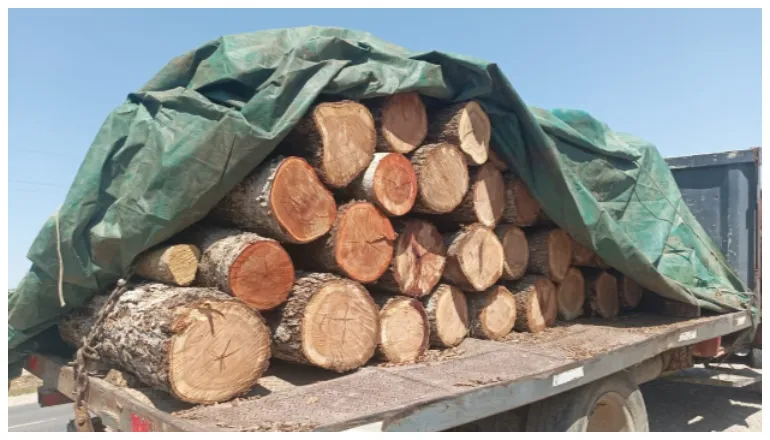 rollos de madera urundel