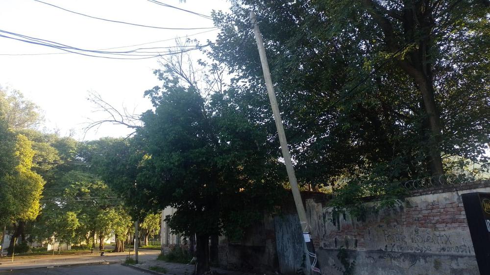 WhatsApp Image 2024-01-16 at 07.36.21