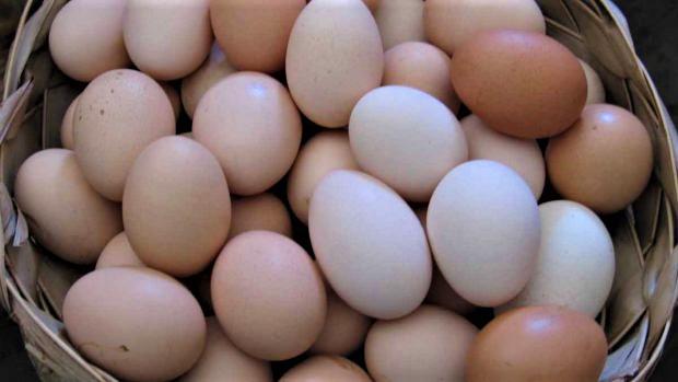 -por-que-no-hay-que-lavar-los-huevos-antes-de-cocinarlos_-1-620x349