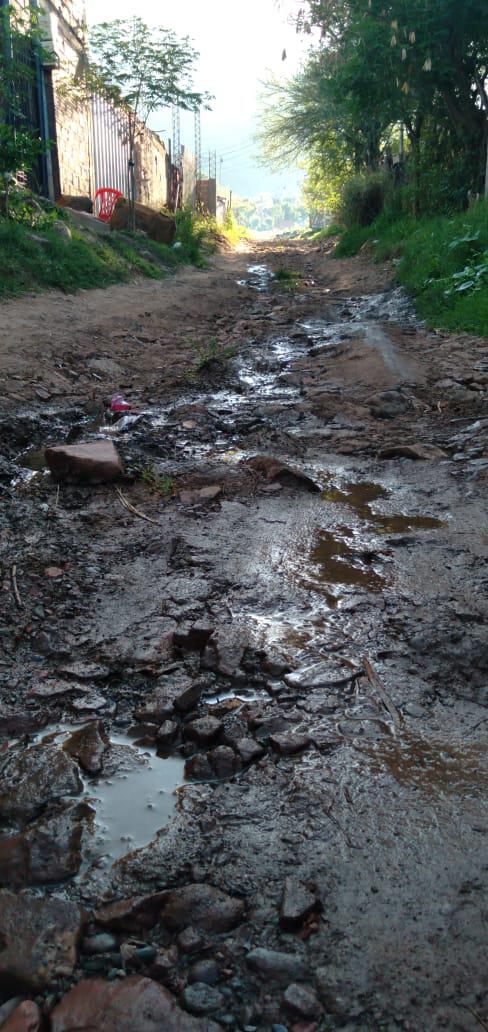 74782f79-1df6-4326-b994-561ff8245515