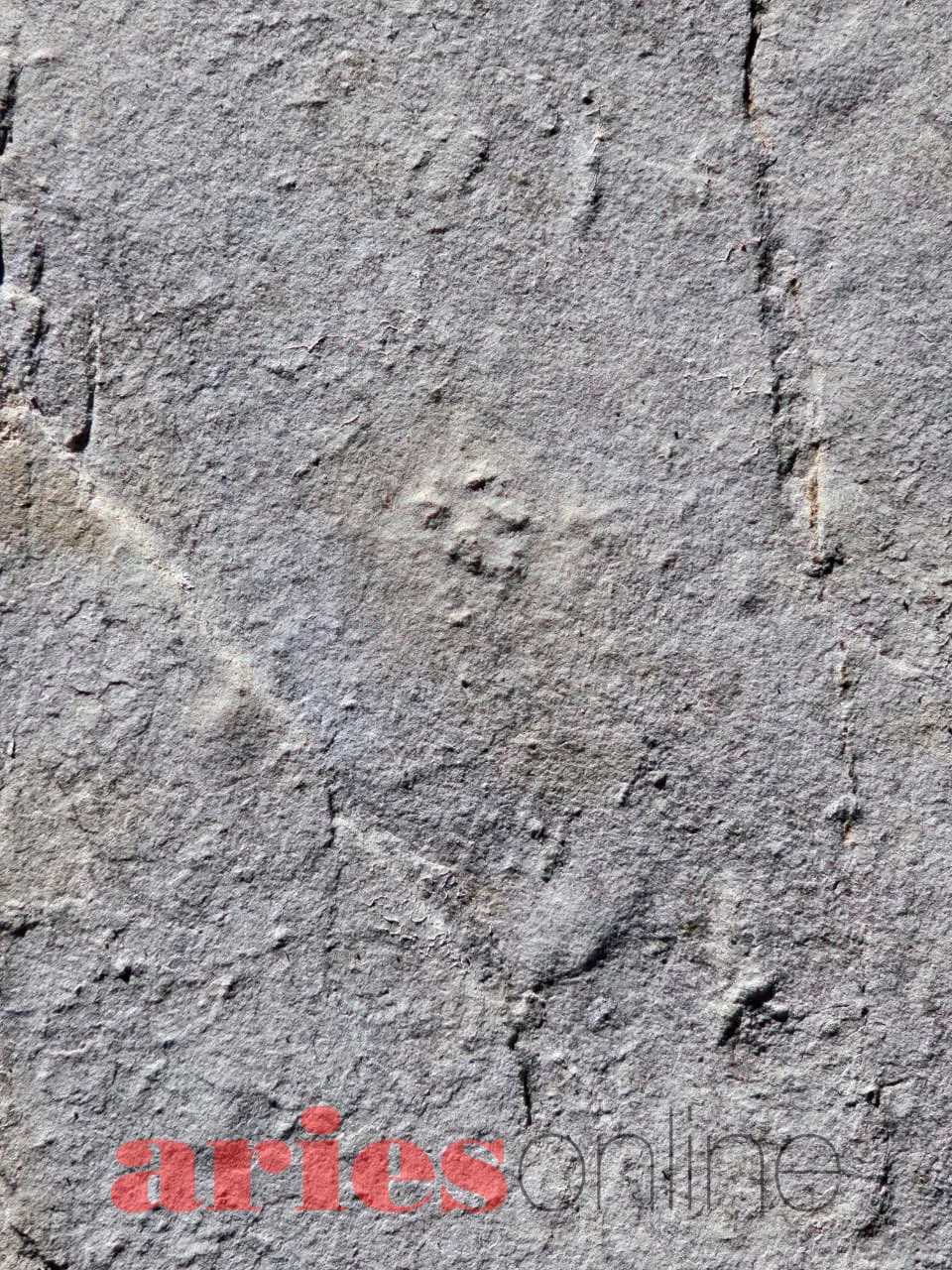 WhatsApp Image 2024-05-03 at 11.00.34 (1)