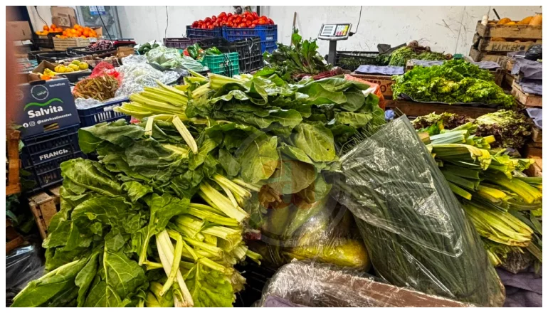 VERDURAS MERCADO SAN MIGUEL