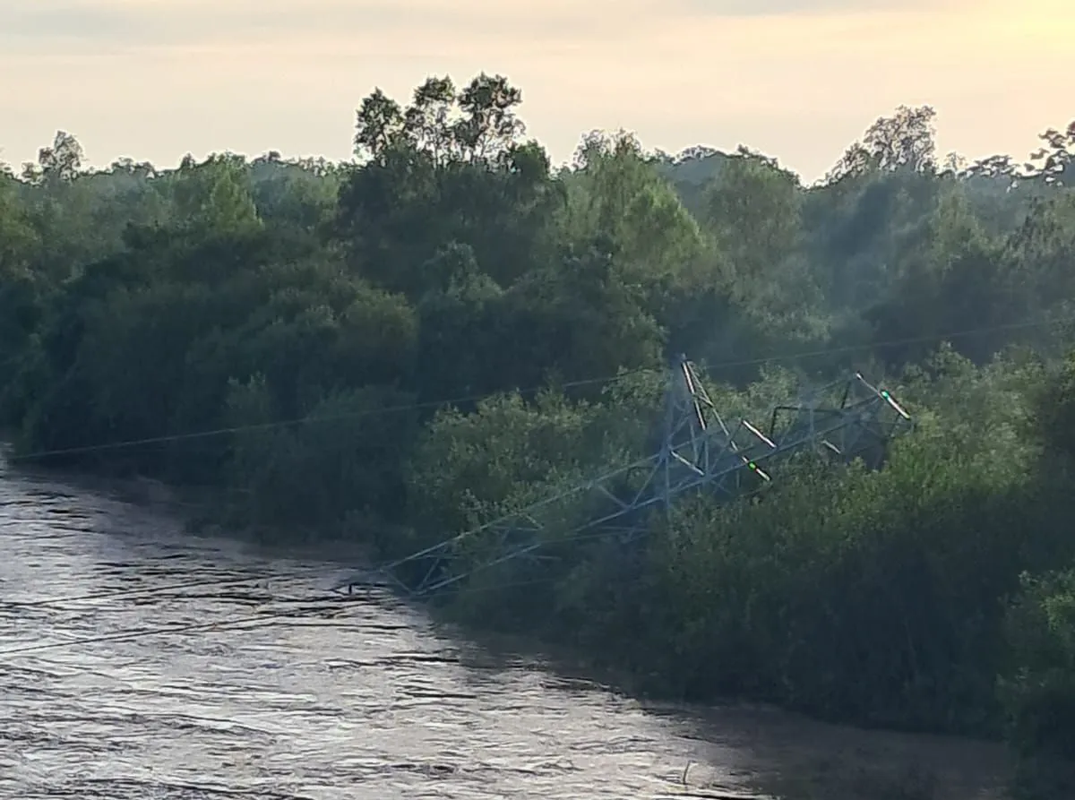 WhatsApp Image 2026-01-22 at 08.15.30