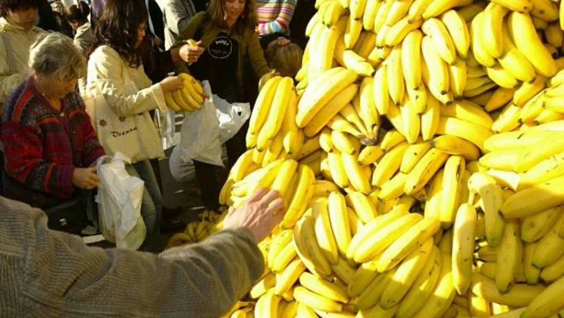 bananazo1_1000_1100