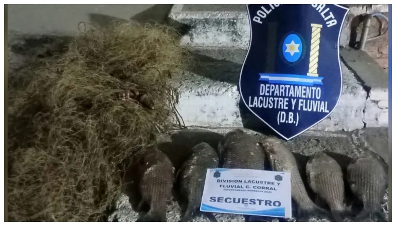 secuestro peces cabra corral