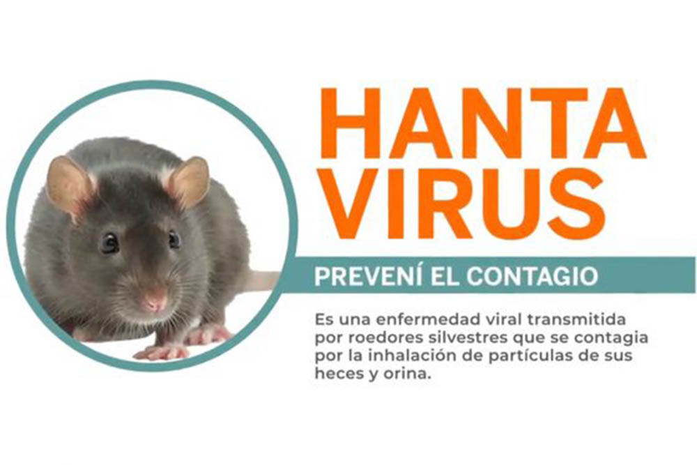 Hantavirus